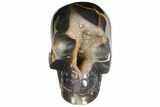 Polished Agate Skull with Druzy Quartz Crystal Pocket #148096-1